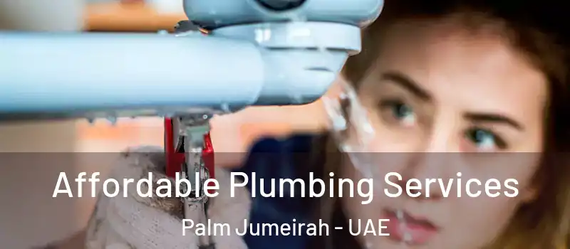  Affordable Plumbing Services Palm Jumeirah - UAE