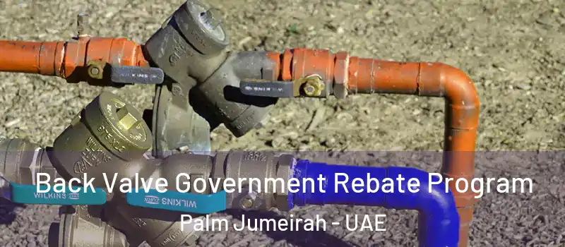  Back Valve Government Rebate Program Palm Jumeirah - UAE