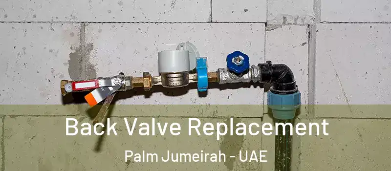 Back Valve Replacement Palm Jumeirah - UAE