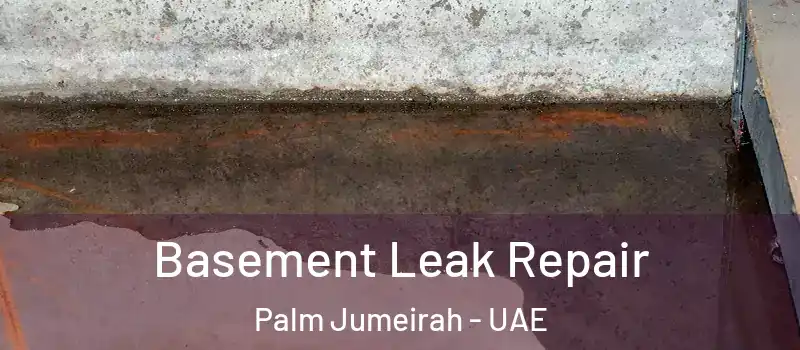  Basement Leak Repair Palm Jumeirah - UAE