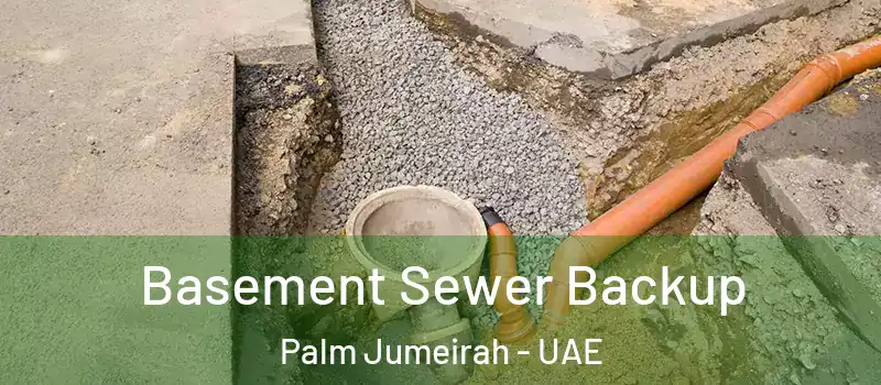  Basement Sewer Backup Palm Jumeirah - UAE