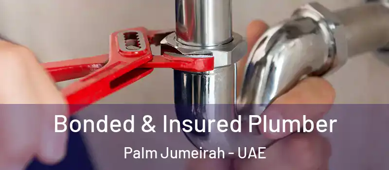  Bonded & Insured Plumber Palm Jumeirah - UAE