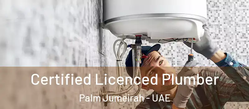  Certified Licenced Plumber Palm Jumeirah - UAE