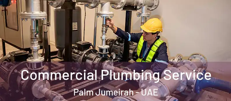  Commercial Plumbing Service Palm Jumeirah - UAE