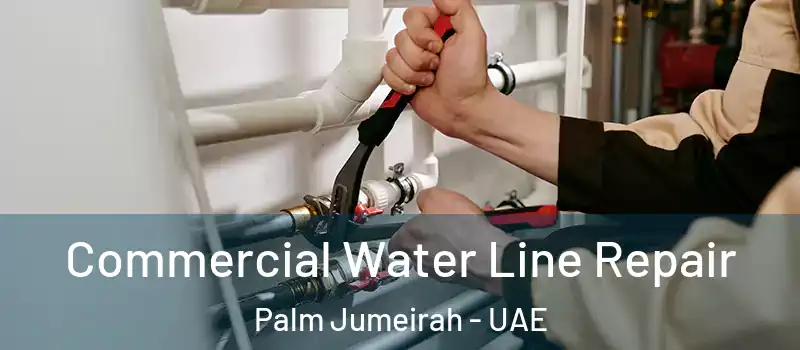  Commercial Water Line Repair Palm Jumeirah - UAE