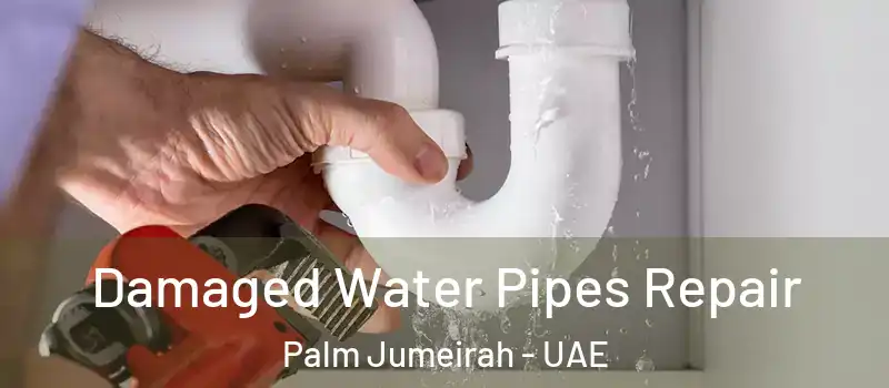  Damaged Water Pipes Repair Palm Jumeirah - UAE