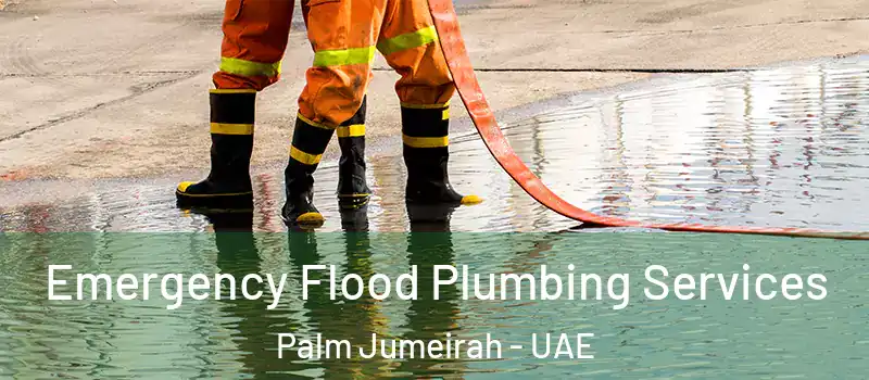  Emergency Flood Plumbing Services Palm Jumeirah - UAE
