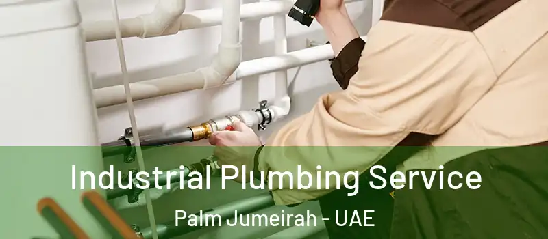  Industrial Plumbing Service Palm Jumeirah - UAE