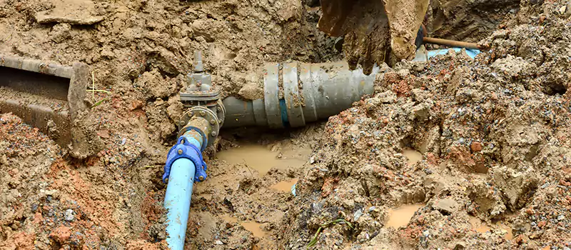 Commercial Sewer Tree Roots Damage Solutions in Palm Jumeirah, UAE