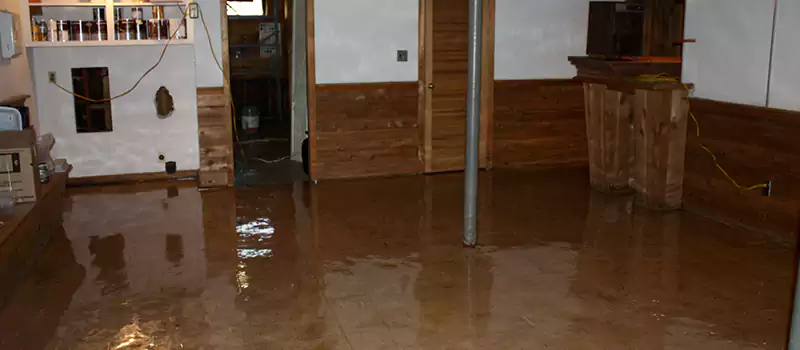 Emergency Basement Leak Repair in Palm Jumeirah, United Arab Emirates