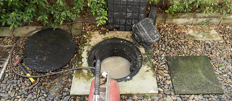 Basement Drain Clog Prevention in Palm Jumeirah, UAE