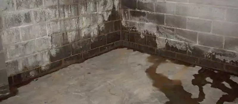 Foundation Sill Plate Leaks Repair Services in Palm Jumeirah, UAE
