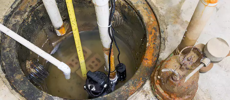 Sump Pump Motor Replacement Services in Palm Jumeirah, UAE