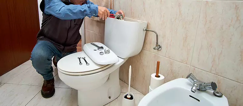 Toilet Flush Valve Installation Services in Palm Jumeirah, UAE