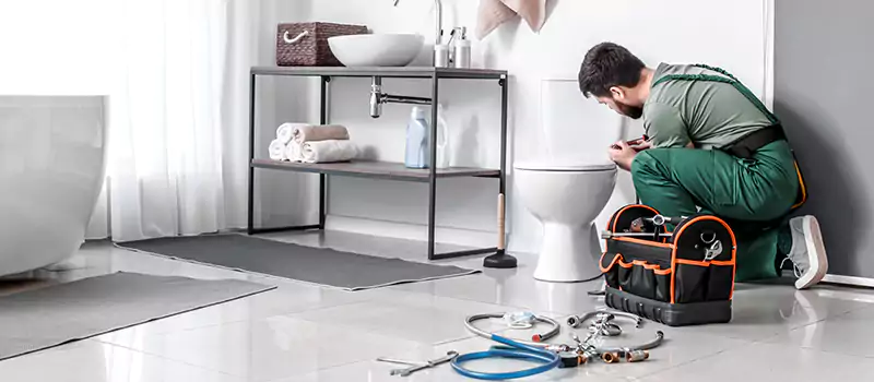 Toilet Repair Cost in Palm Jumeirah, United Arab Emirates