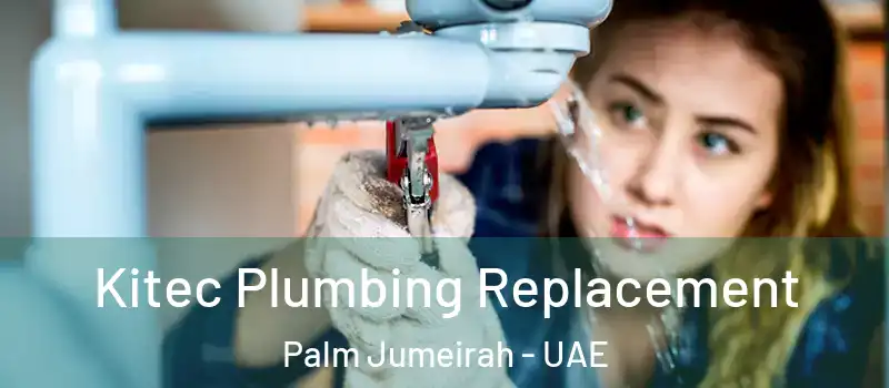  Kitec Plumbing Replacement Palm Jumeirah - UAE