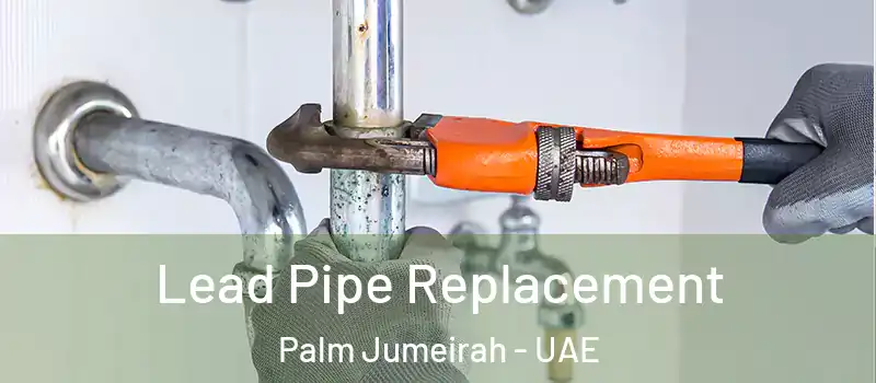  Lead Pipe Replacement Palm Jumeirah - UAE