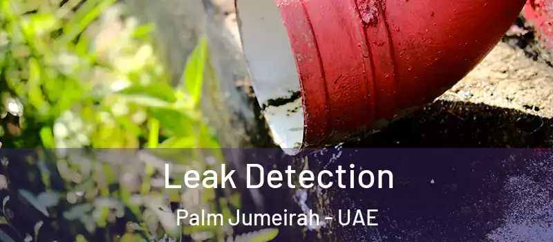  Leak Detection Palm Jumeirah - UAE