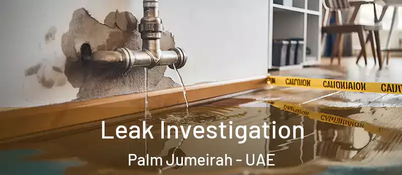  Leak Investigation Palm Jumeirah - UAE