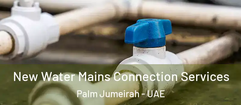  New Water Mains Connection Services Palm Jumeirah - UAE