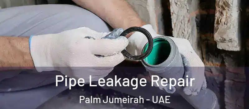  Pipe Leakage Repair Palm Jumeirah - UAE