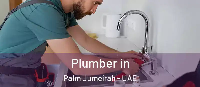  Plumber in Palm Jumeirah - UAE