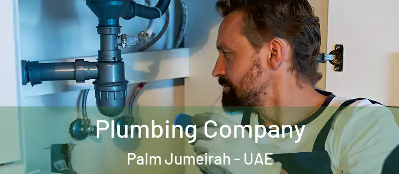 Plumbing Company Palm Jumeirah - UAE