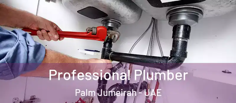  Professional Plumber Palm Jumeirah - UAE