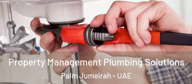  Property Management Plumbing Solutions Palm Jumeirah - UAE