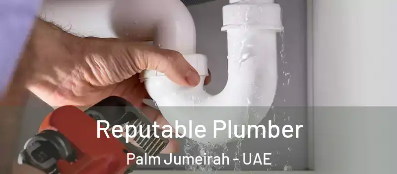  Reputable Plumber Palm Jumeirah - UAE