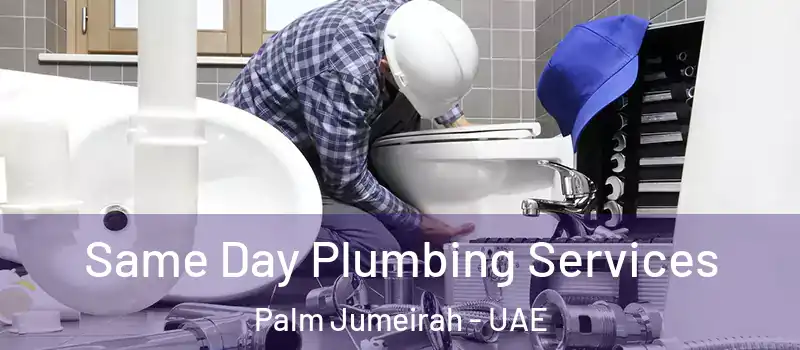  Same Day Plumbing Services Palm Jumeirah - UAE