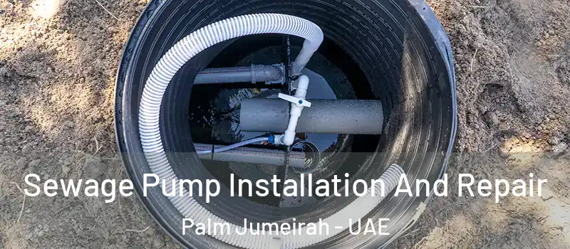 Sewage Pump Installation And Repair Palm Jumeirah - UAE