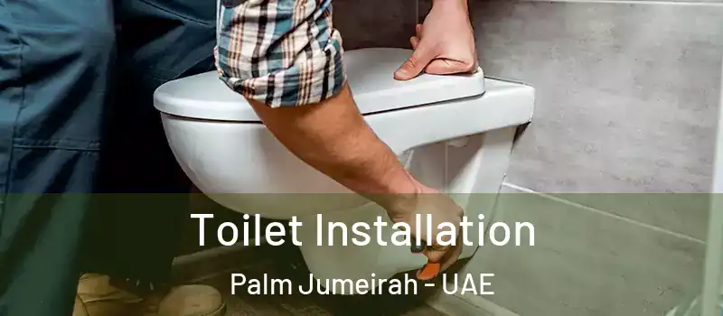  Toilet Installation Palm Jumeirah - UAE
