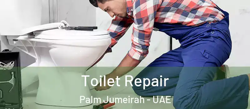  Toilet Repair Palm Jumeirah - UAE