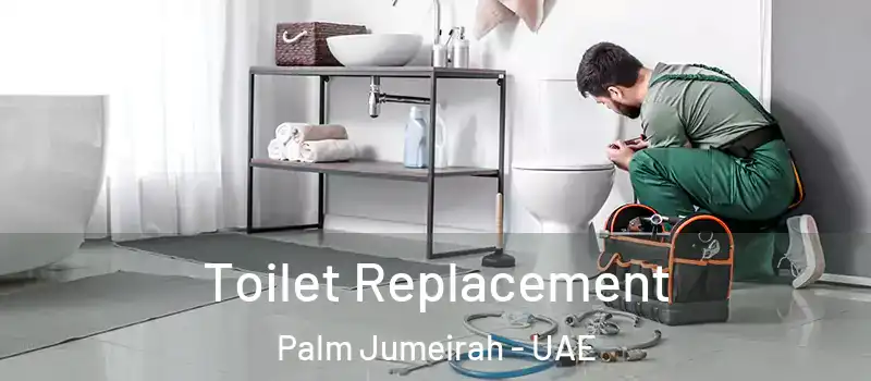  Toilet Replacement Palm Jumeirah - UAE