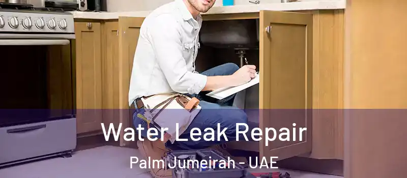  Water Leak Repair Palm Jumeirah - UAE