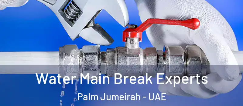  Water Main Break Experts Palm Jumeirah - UAE