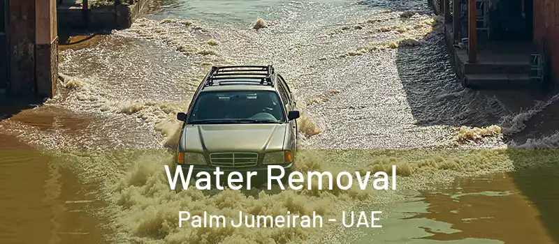  Water Removal Palm Jumeirah - UAE