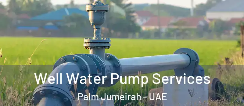  Well Water Pump Services Palm Jumeirah - UAE